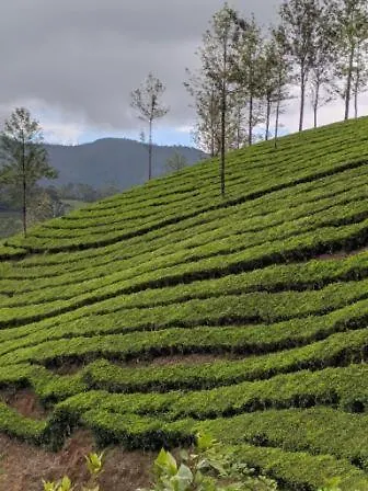 Green Pepper Homestay Anachal 0*,